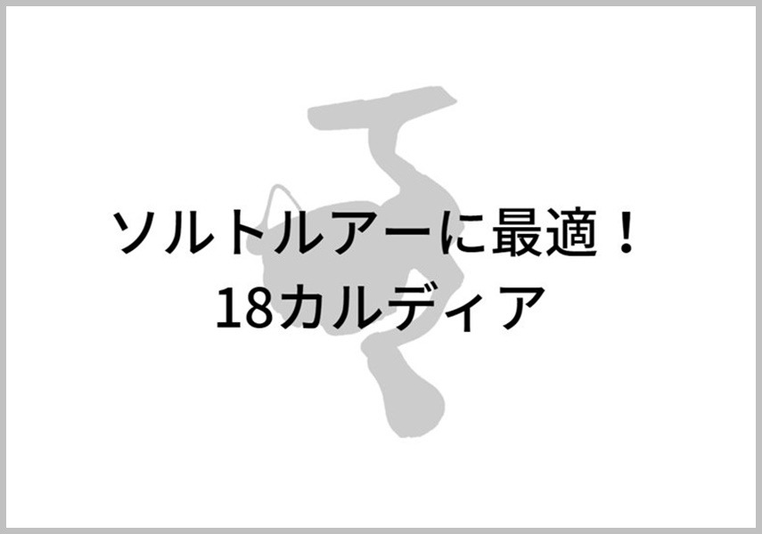 18カルディアでシーバス エギング アジングに適した番手はコレ ベストサイズで快適に釣りをしよう ルアー通